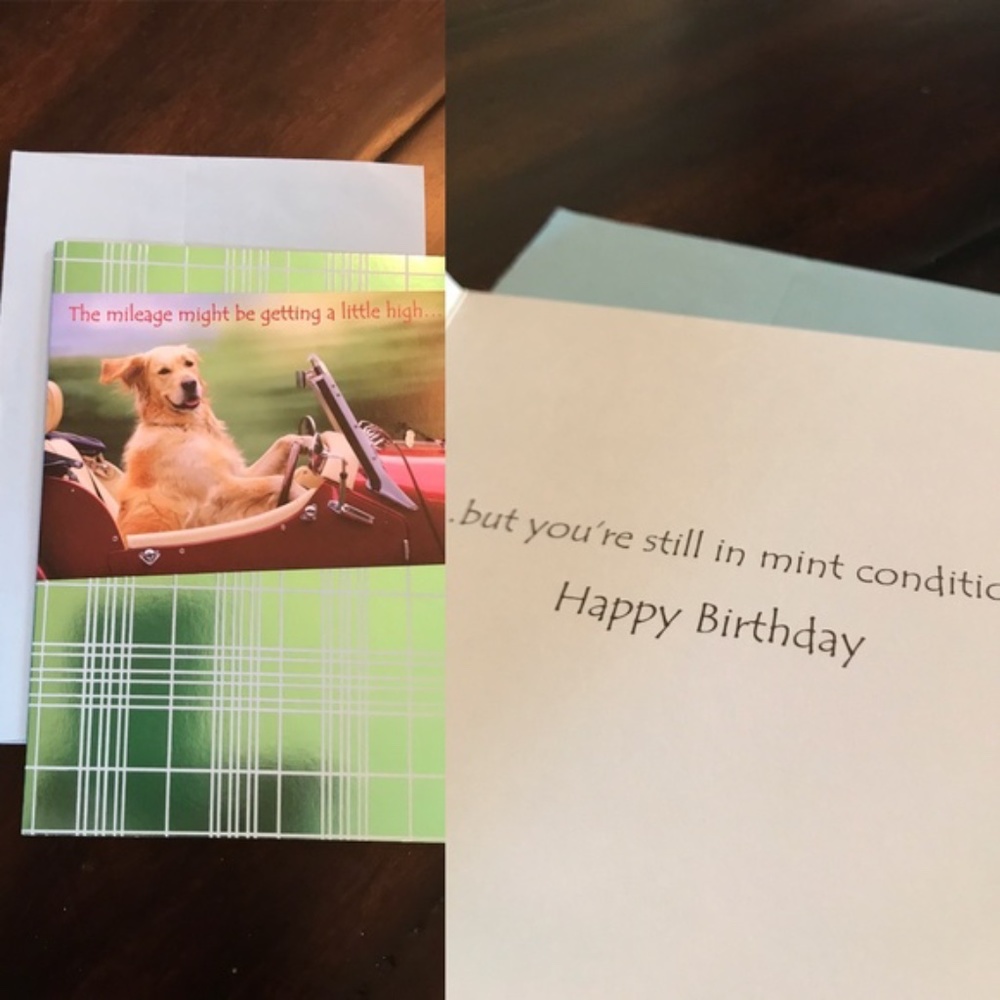 NWOT Card Happy Birthday Dog Driving Car